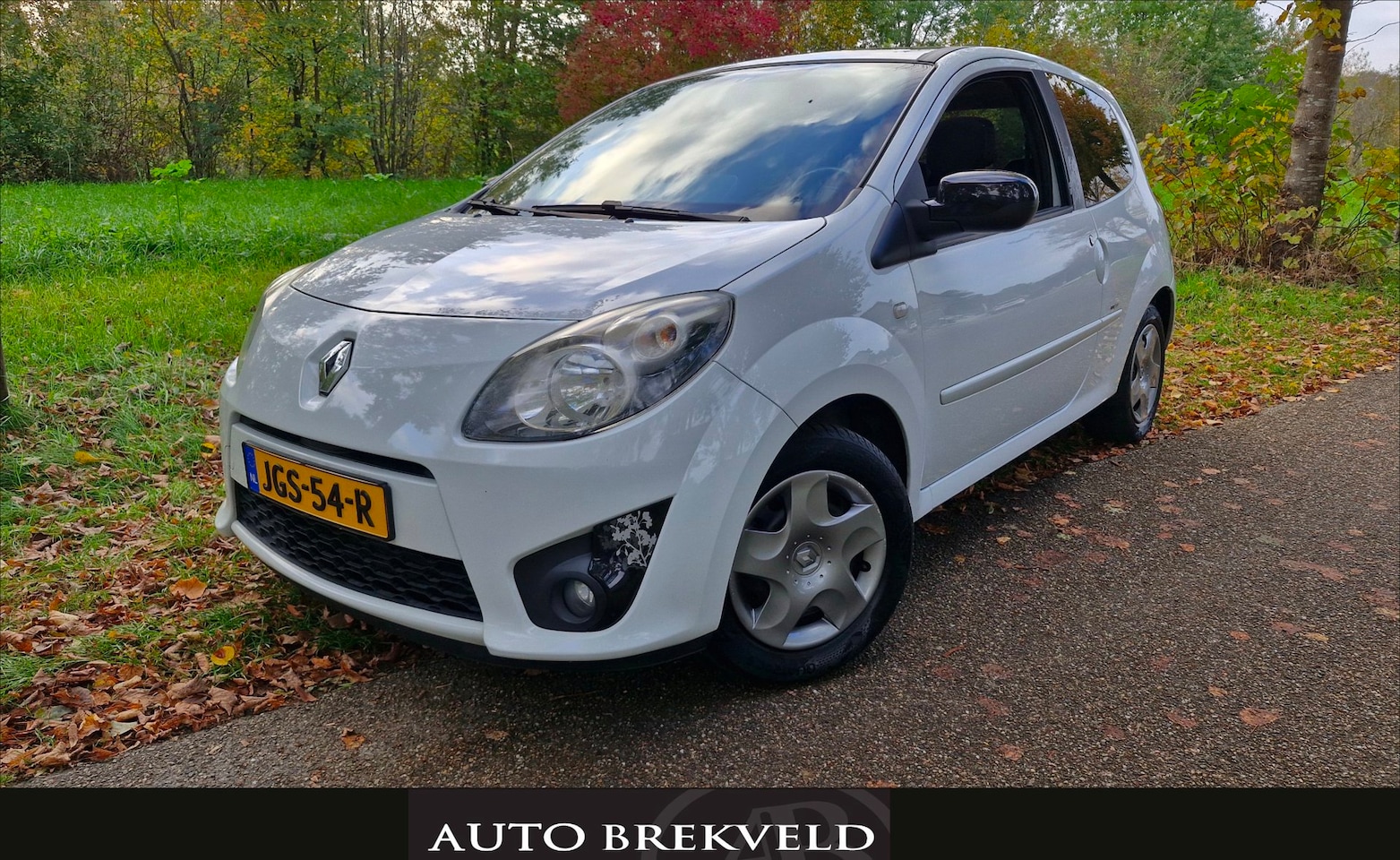 Renault Twingo - 1.2-16V Night & Day 75PK | Elektrisch pakket | Airco | Open dak - AutoWereld.nl