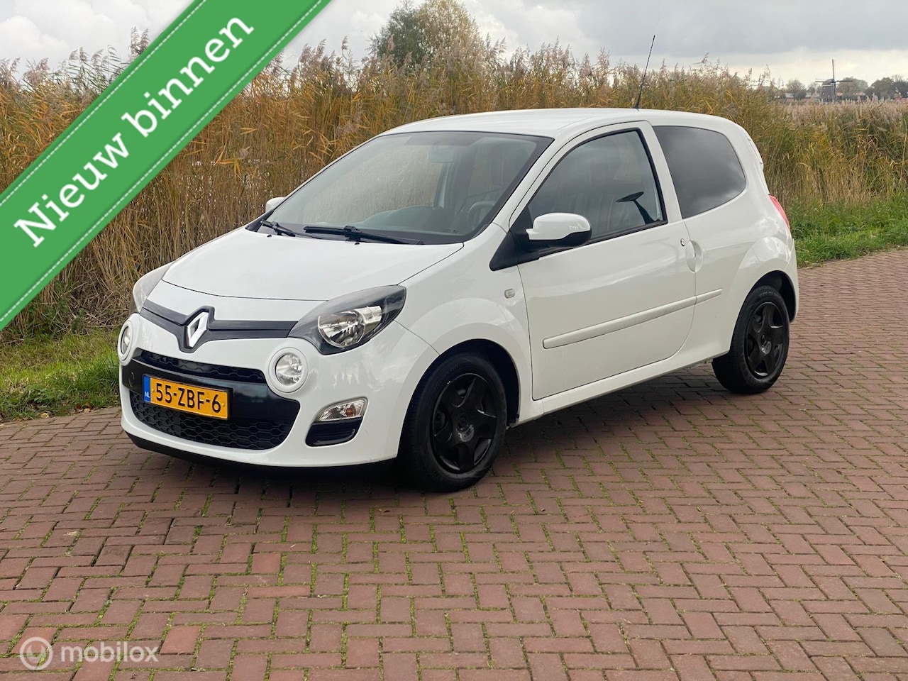 Renault Twingo - 1.2 16V Collection 9-'12 Nwe Apk Netjes !! - AutoWereld.nl