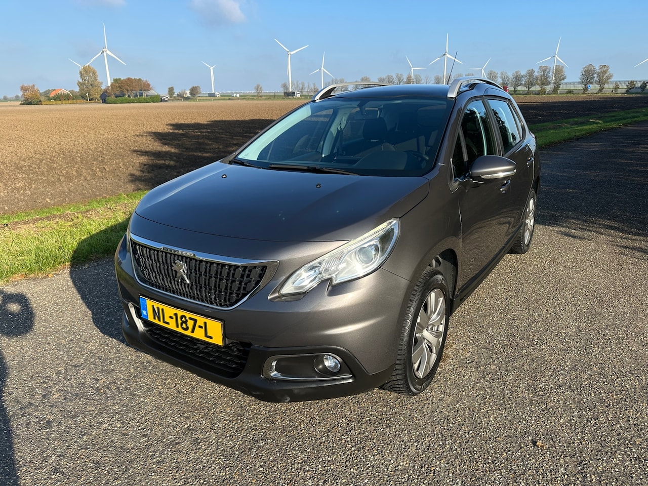 Peugeot 2008 - 1.2 PureTech Blue Lion Panoramadak Trekhaak Enz - AutoWereld.nl