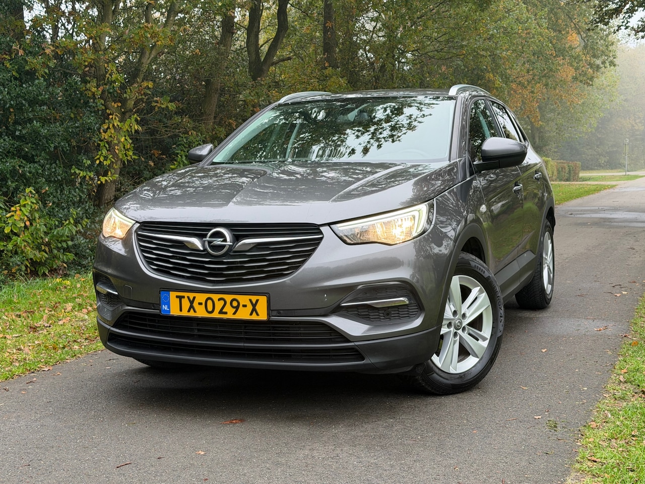 Opel Grandland X - 1.2 Turbo Business + | Nette Auto + NAP + Cruise control Nu € 8.975,- !!! - AutoWereld.nl