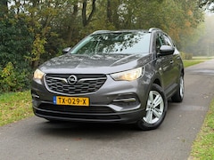 Opel Grandland X - 1.2 Turbo Business + | Nette Auto + NAP + Cruise control Nu € 8.975,