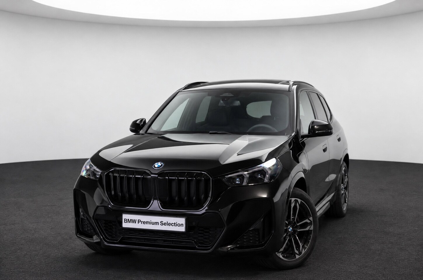 BMW X1 - xDrive25e M Sport Automaat / Panoramadak / Sportstoelen / Comfort Access / Achteruitrijcam - AutoWereld.nl