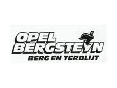 Garage Bergsteyn BV logo